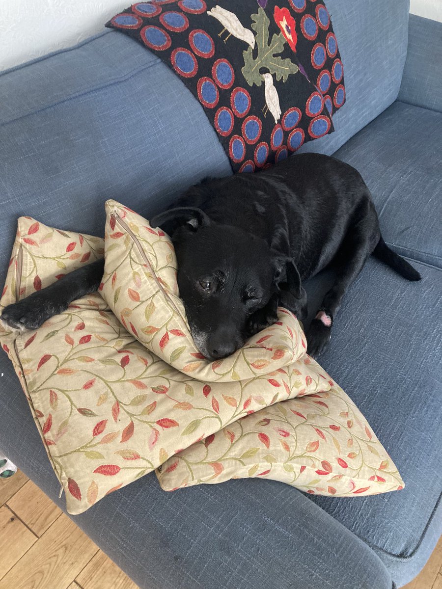 Bluemoose Books tweet media