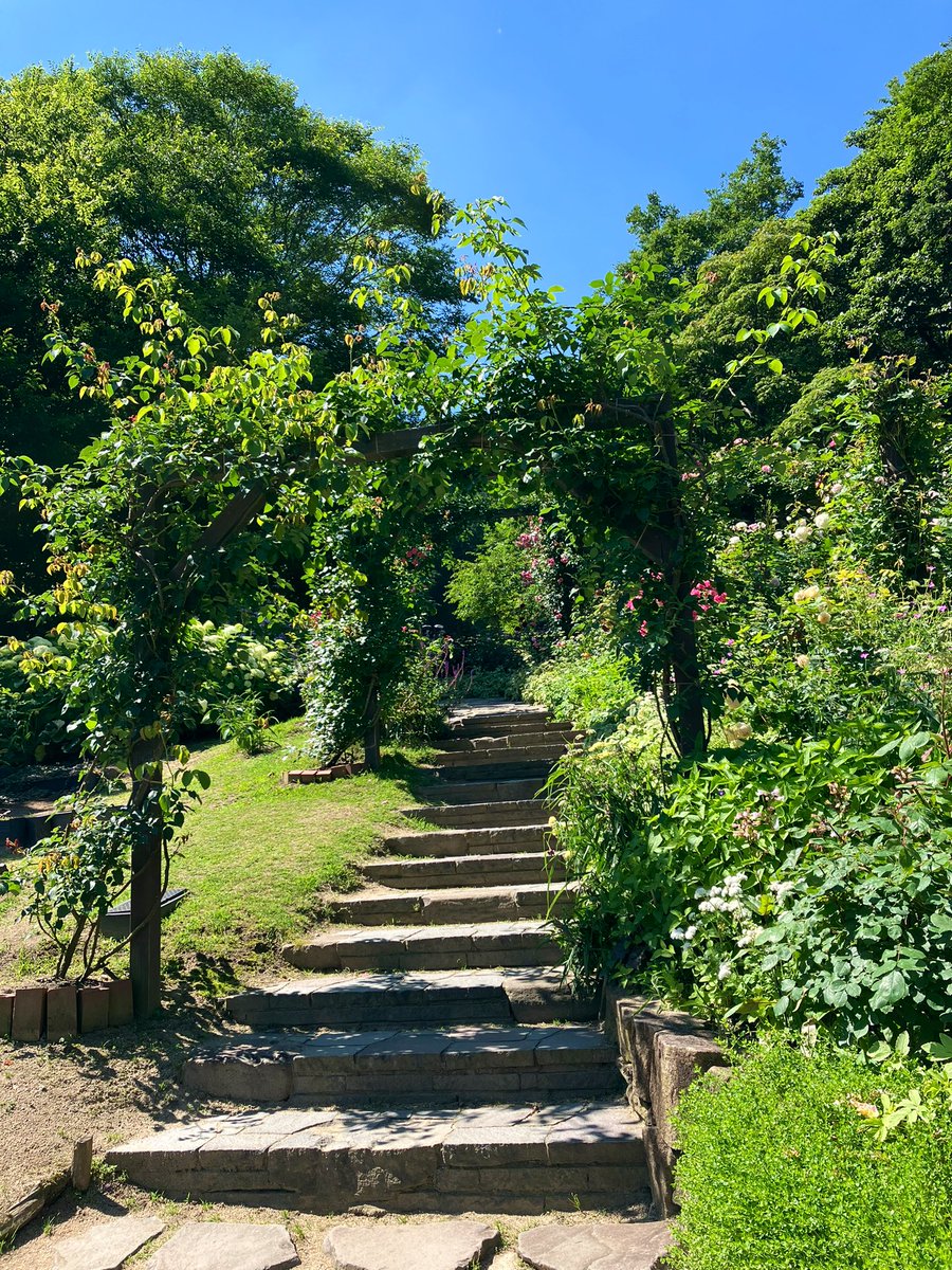 yuuunaaagi's tweet photo. この道の先にはなにがあるんでしょう？

#布引ハーブ園
#写真好きな人と繋がりたい https://t.co/IWOLoI5TcF