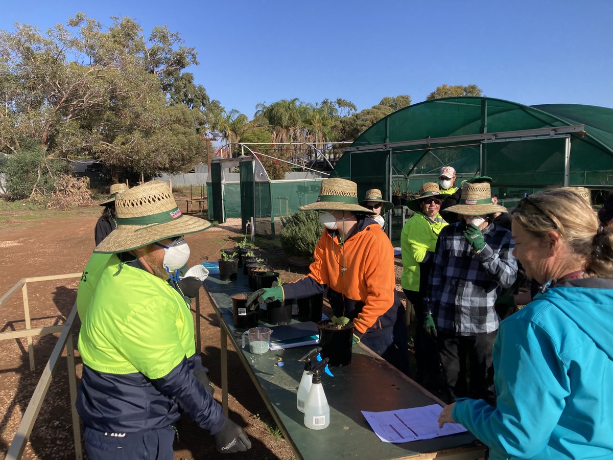 Northern Mallee LLEN tweet media