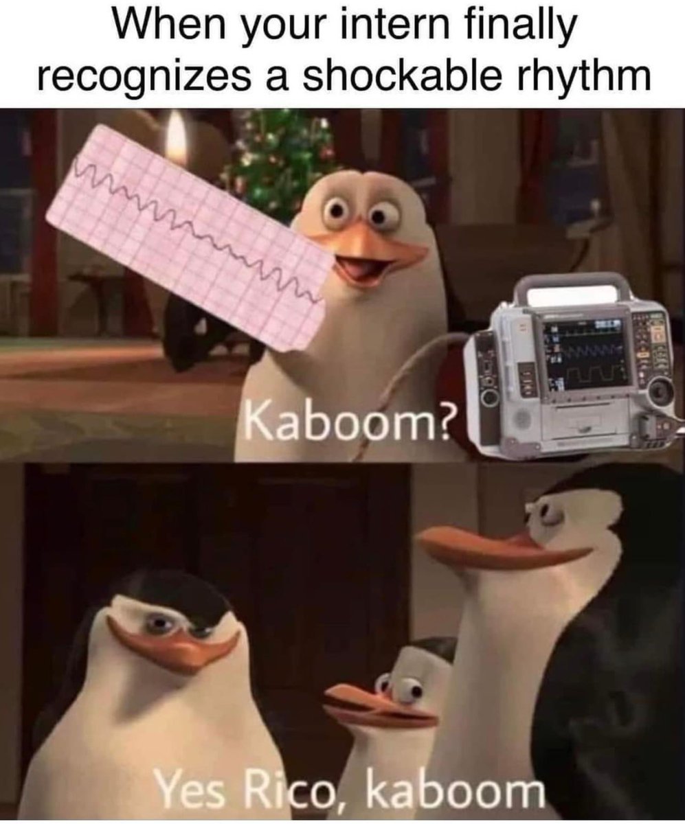 <a href="/EM_RESUS/">Sam Ghali, M.D.</a> <a href="/SangirardiMD/">Caio Sangirardi, MD</a>