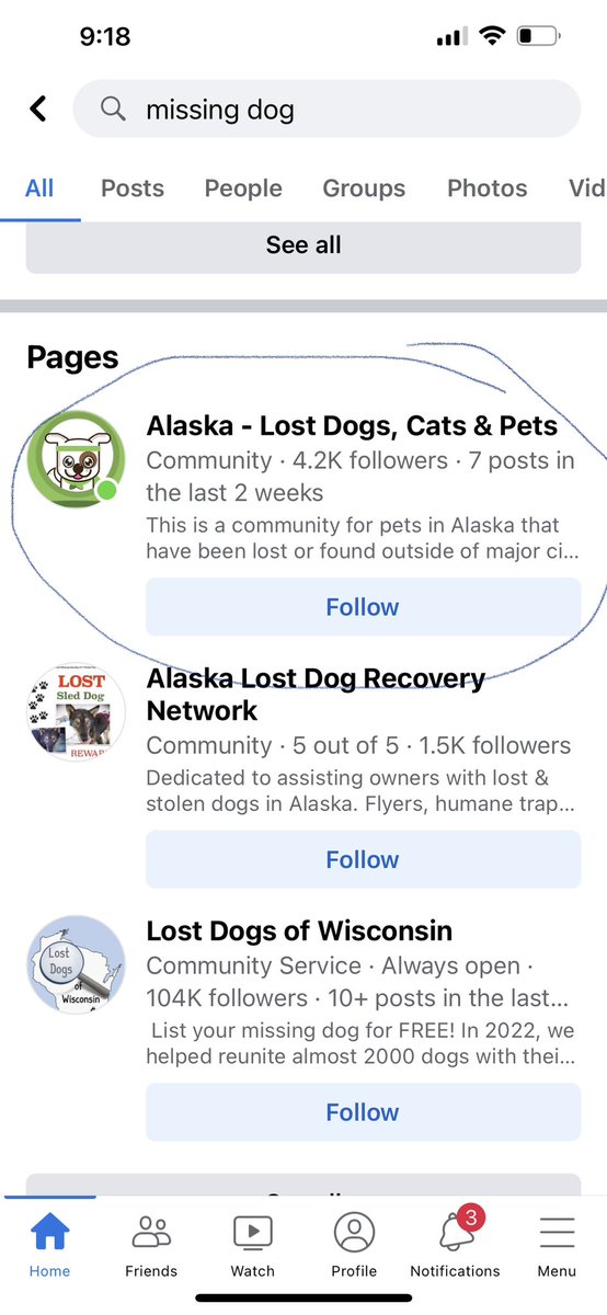 mulletskickass's tweet photo. Someone's Yorkie goes missing and it's blown up on social media. A non-brown person does missing and the FBI finds their body all the way across the country. The lost pet page has more followers then Will! How are we supposed to trust law enforcement when we're less than...!? https://t.co/O8vUIXwLGi