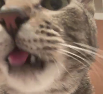 em 🌌 (@bipbopbutnot) on Twitter photo 