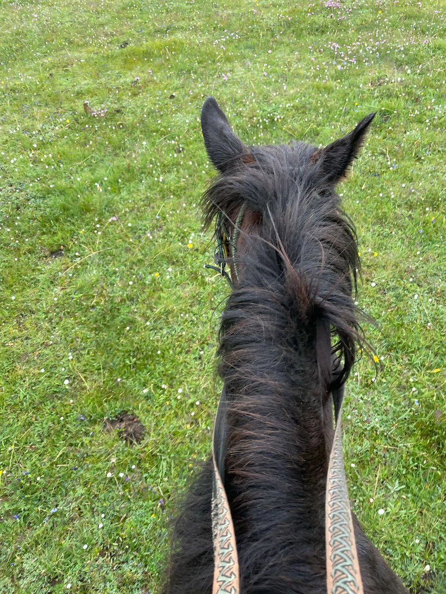 The horse seemed to understand my mood and walked not too fast or too slow.