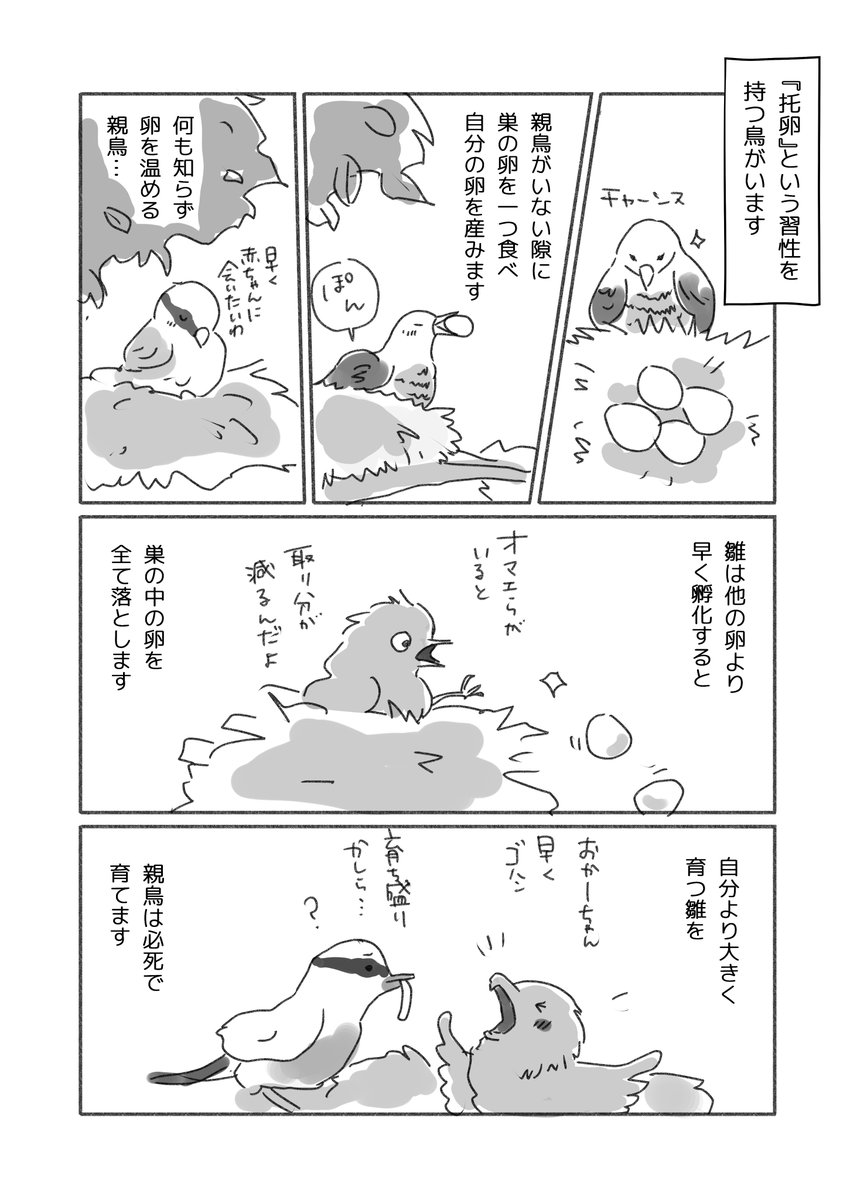 知識は想像力に、無知は攻撃性になりうると思った話。

朝、カッコウの声が聴こえたのでそんな作品を。

これは「托卵」の習性しか知らなかった頃の話。
一冊の本を読んでちょっと意識変わったのがツリーの方の作品です。 https://t.co/WVWEJpPJdf