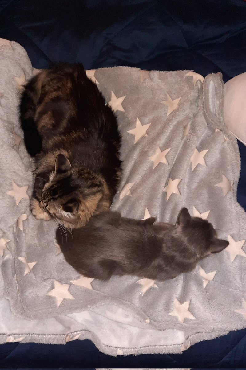 Aqui em casa a gente leva esse negócio do "fazuele" muito a sério.