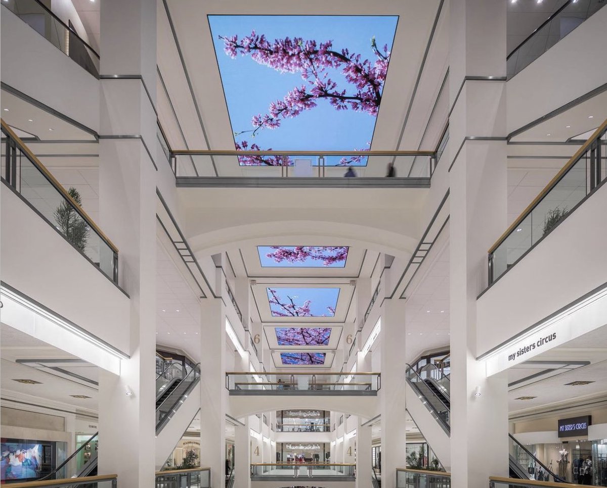 TheCanopyAt900 tweet media