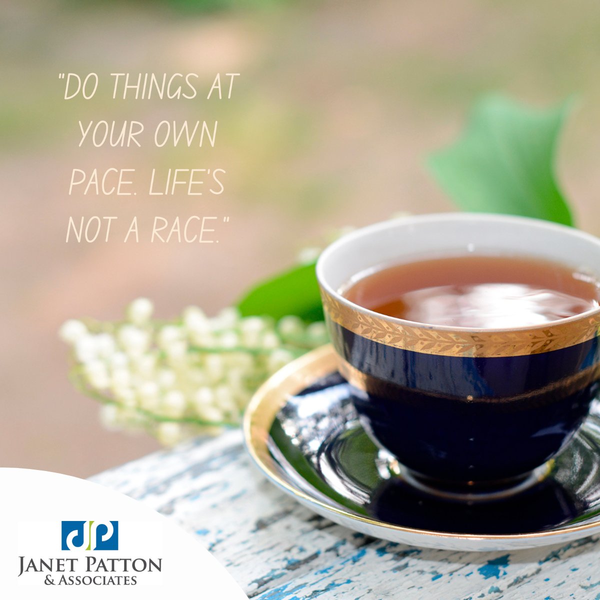 Janet Patton tweet media