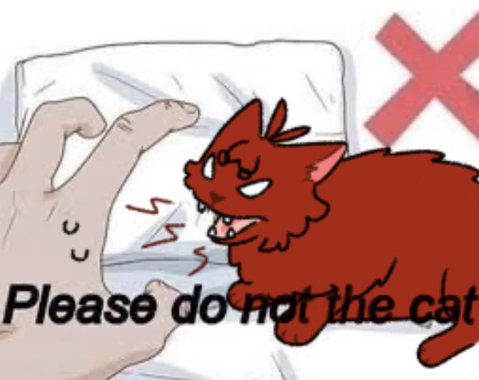 #66
please do not the cat ❌