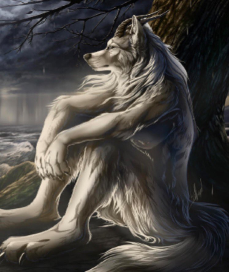 luvPerk's tweet image. 