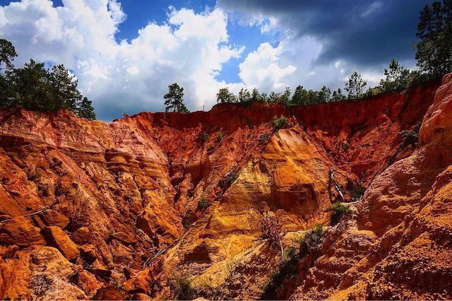 Daily bit of beautiful 

Red Bluff

Located just outside of my hometown in Marion County, Mississippi.

That’s red clay… eroded by the Pearl River.