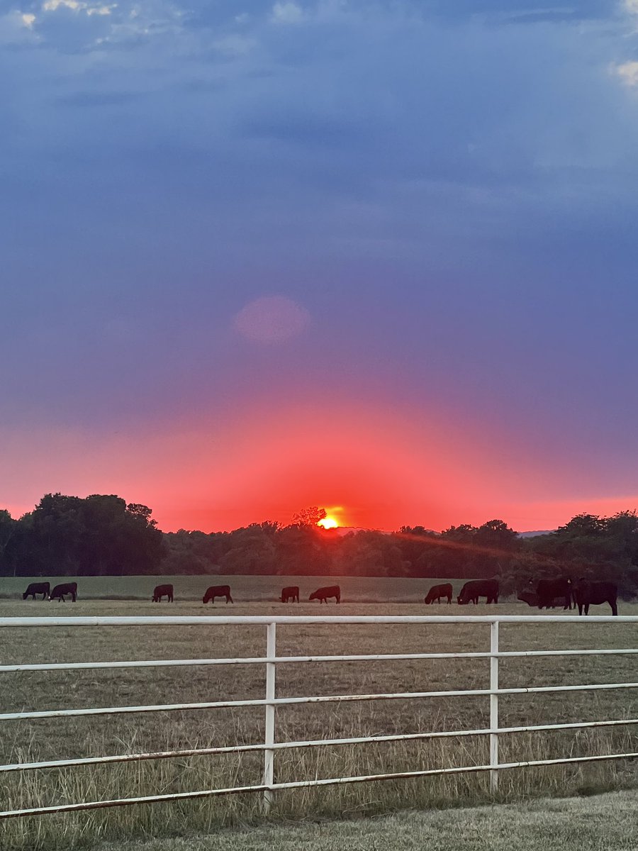 Took this picture driving down my driveway, Absolutely beautiful sunset