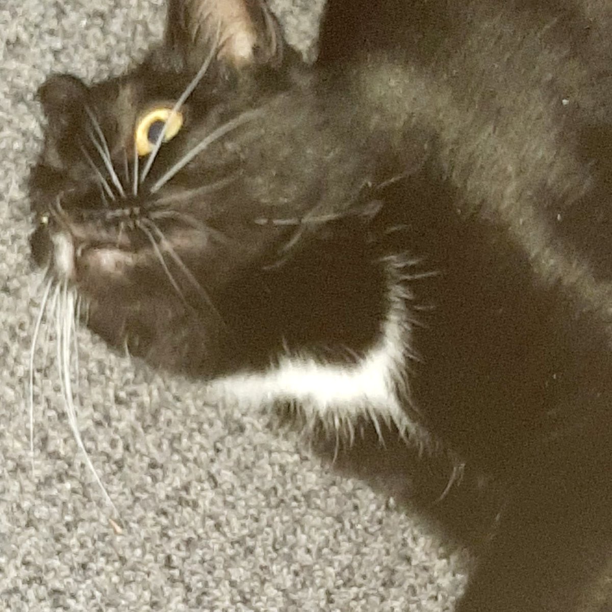 Lynda_The_Mundane tweet media