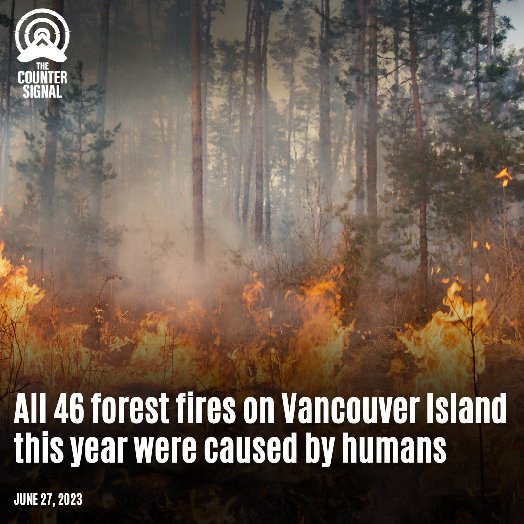 ALL 46 forest fires on Vancouver Island this year were caused by humans. 

Who wants to bet that the climate alarmists are insane enough to start a fire just so they can blame it on climate change? 

FULL STORY HERE: ➡️  t.ly/cyqzo