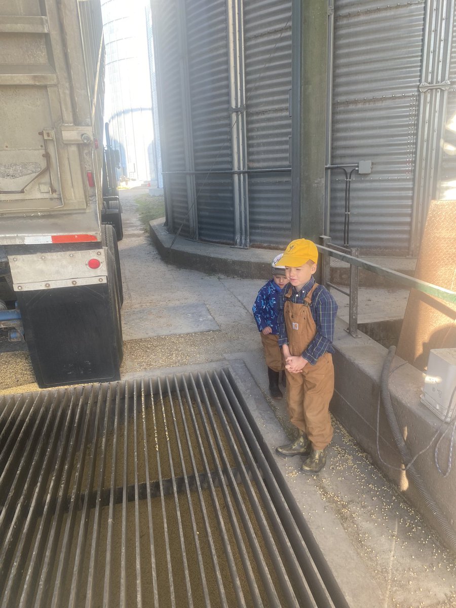 Crop_Service's tweet photo. #DEKALBLittleHelperGiveaway these 2 always a big help scouting, trucking or planting. Just need lots of snacks and a good spot to have a quick nap. https://t.co/cC12m3A6rf