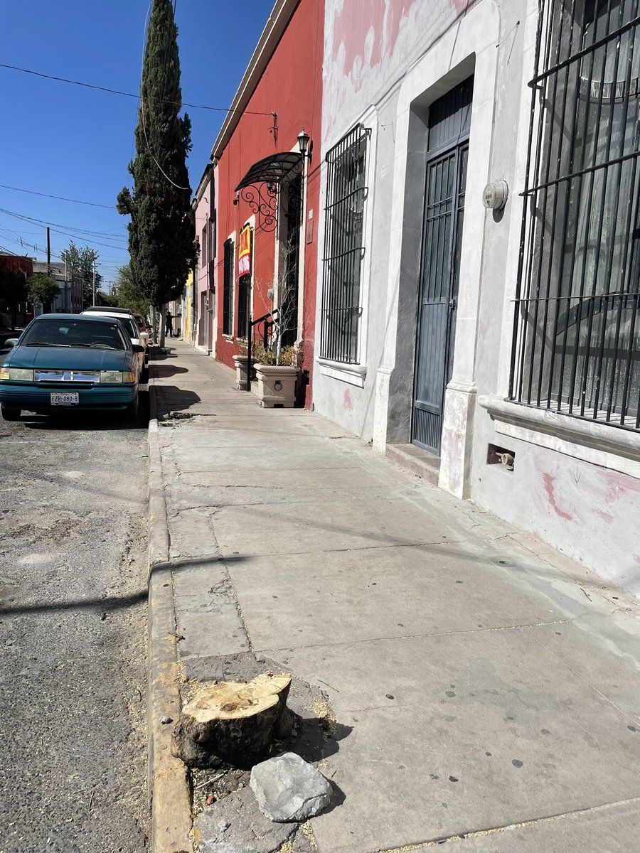 #Durango | La Dirección de Medio Ambiente, aclaró que no se otorgó permiso para derribar 4 árboles en las calles Gabino Barreda y Bruno Martínez. 

Se impondrá una multa de $6,500 pesos por cada árbol removido y la plantación de 20 árboles; a quien resulte responsable. #Noti12