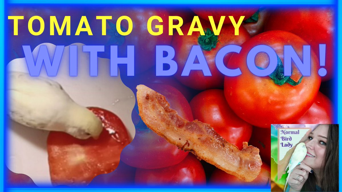 I have a new cooking video up, over on YouTube! Fig makes a tomato cameo! ❤️🐦🍅❤️ I hope you like it! 
PS. Tons of bacon!