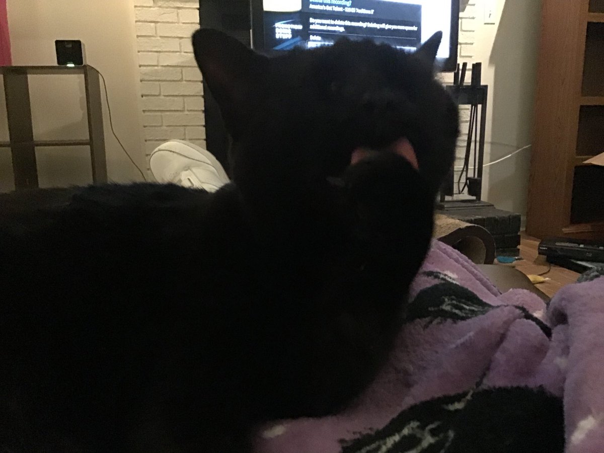 jackie parham tweet media