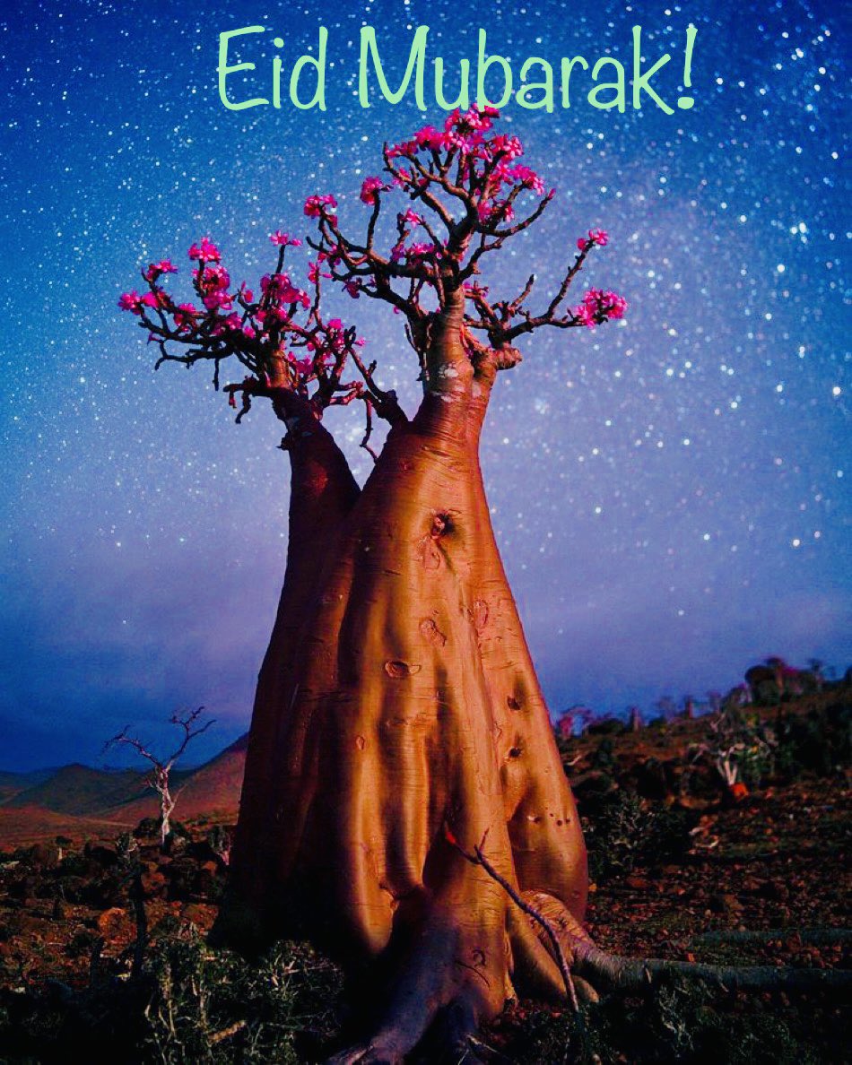 Eid Mubarak! #EidAlAdha #Eid2023