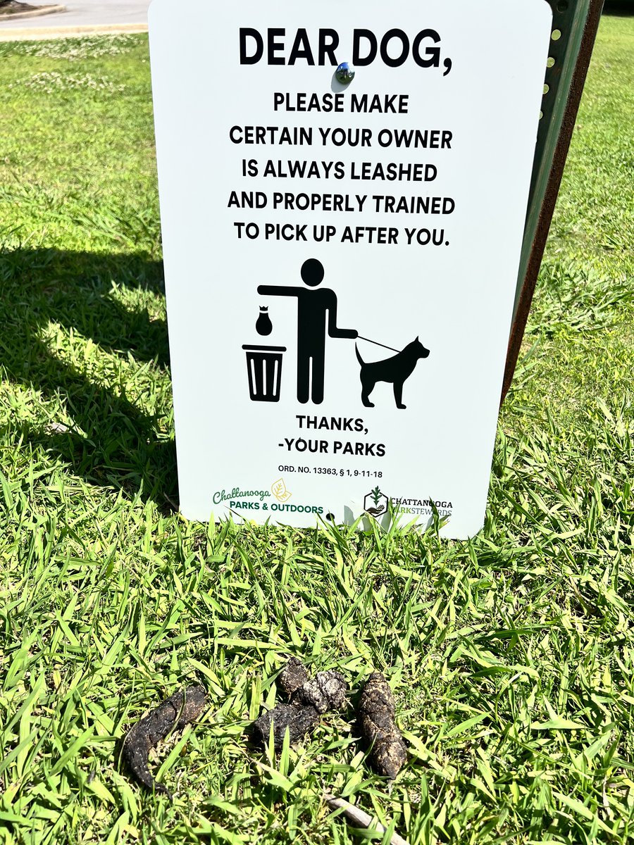 Chattanooga Parks and Outdoors tweet media