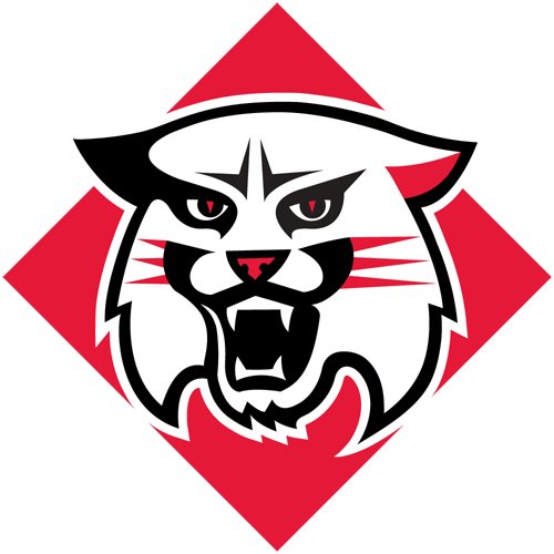 Thank you God and everyone who helped me get here. #Committed <a href="/DavidsonFB/">Davidson Football</a> <a href="/_Coach_Hof/">Austin Eisenhofer</a> <a href="/Scott_AbellFB/">Scott Abell</a>