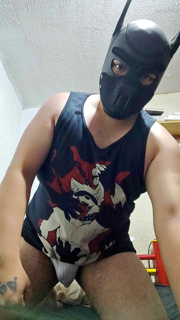 thoseweirdfurs's tweet photo. Daaamn. The pup has been working out and it shows. Be careful. He might overpower you and become the Alpha. #gay #pupplay #gaypupplay #jockstrap. Also @TigerLion_Art cool shirt eh? https://t.co/AHWNNXLgah