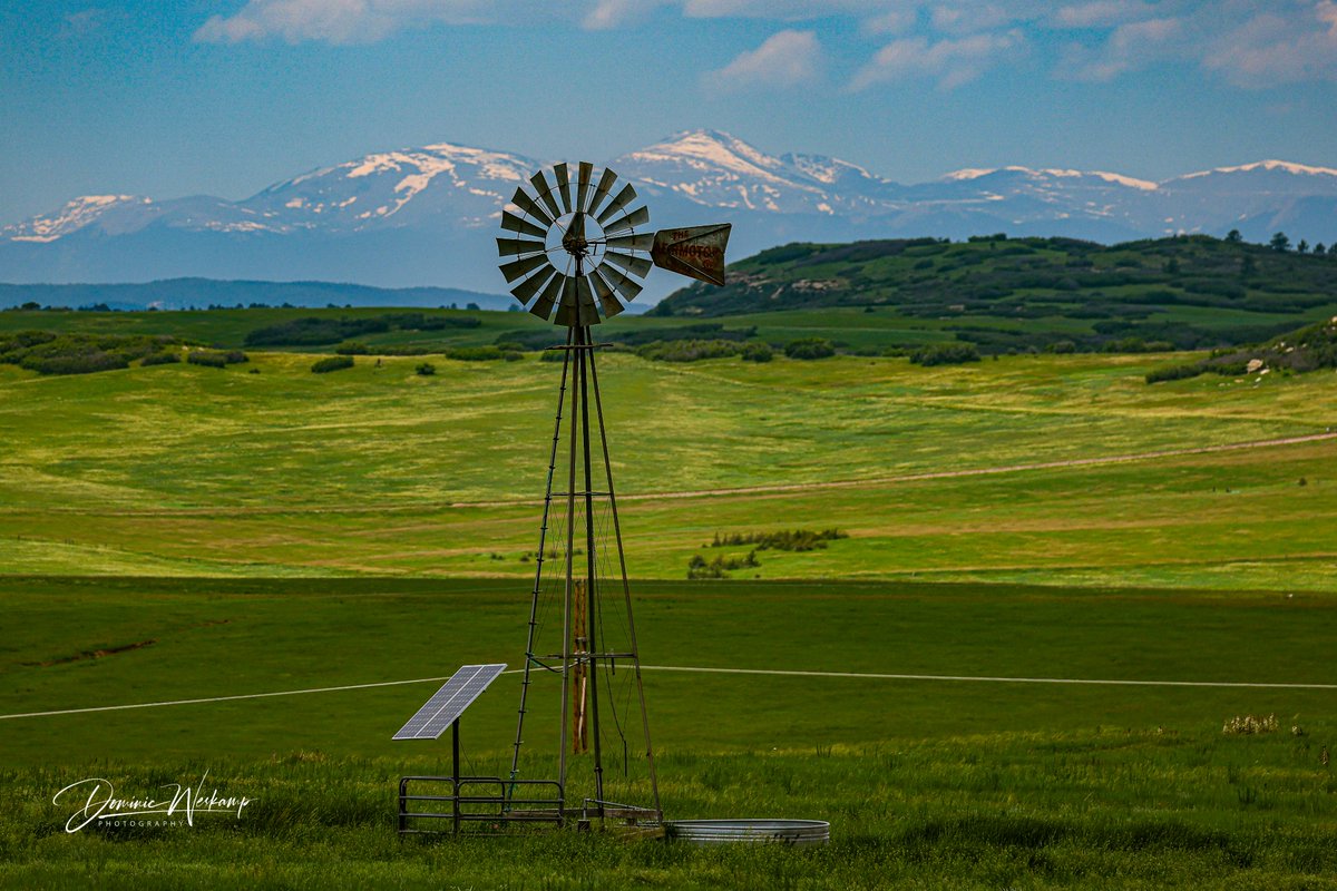 A beautiful view of the Front Range from Greenland Rd. Enjoying the green grass and wild flowers while they last! @BeautyNature___ @TodayInNature @RockyMtWild #windmills #frontrange #Colorado
