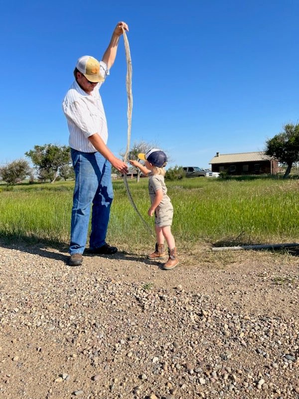 RugerJack22's tweet photo. Mother Nature continues to amaze me. She gave us big rain in the last 3 weeks and now she shows us a huge snake skin. Big dude is 6’ 2”……little dude is just taking it all in. #mothernature #bullsnake https://t.co/L8IrpHzB0I
