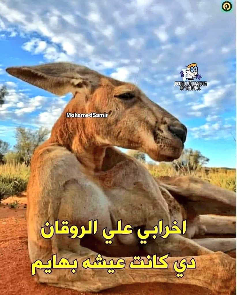 لما أنزل أجازة من الجيش