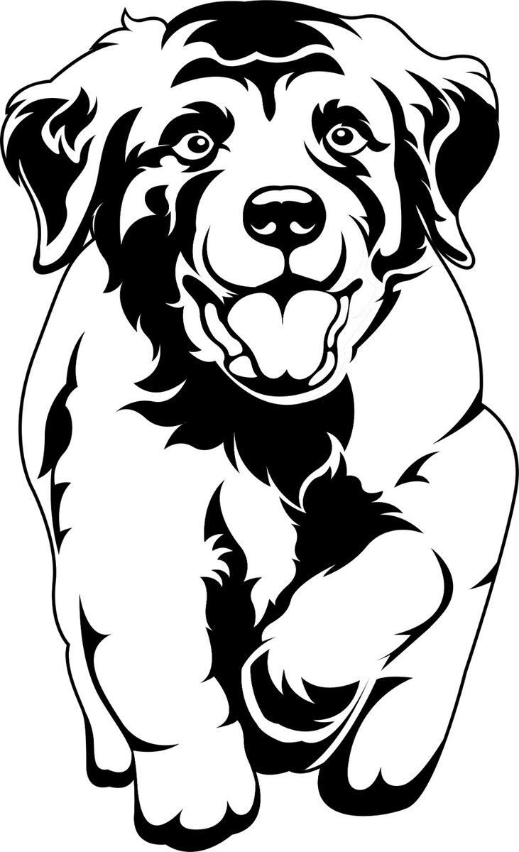 MYLETA_21's tweet photo. Shilouette vector pet
#GlazersOut #vectorart #vector #pets #art #seni #ilustration #bitcoin #dog #Promotion https://t.co/Mt0qMMCF40