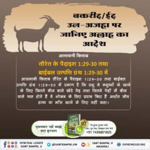 PrechandG's tweet photo. @ExpertOption #ProphetMuhammad_NeverAteMeat
बकरी, मुर्गी (कुकड़ी), गाय, गधा, सूअर को खाते हैं। भक्ति की (रीस) नकल भी करते हैं। ऐसे पाप करने वालों से परमात्मा दूर है। जीव हत्या करने वाले नरक के भागी।

Allah Kabir https://t.co/zIeBEtQIW7