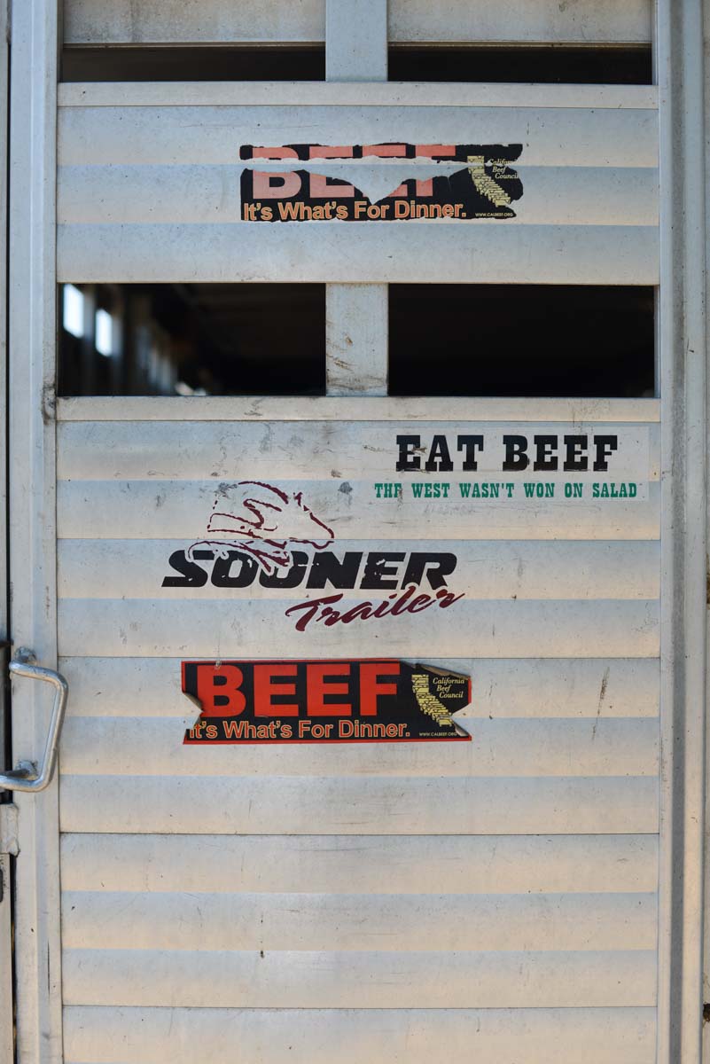 California Cattle Council tweet media