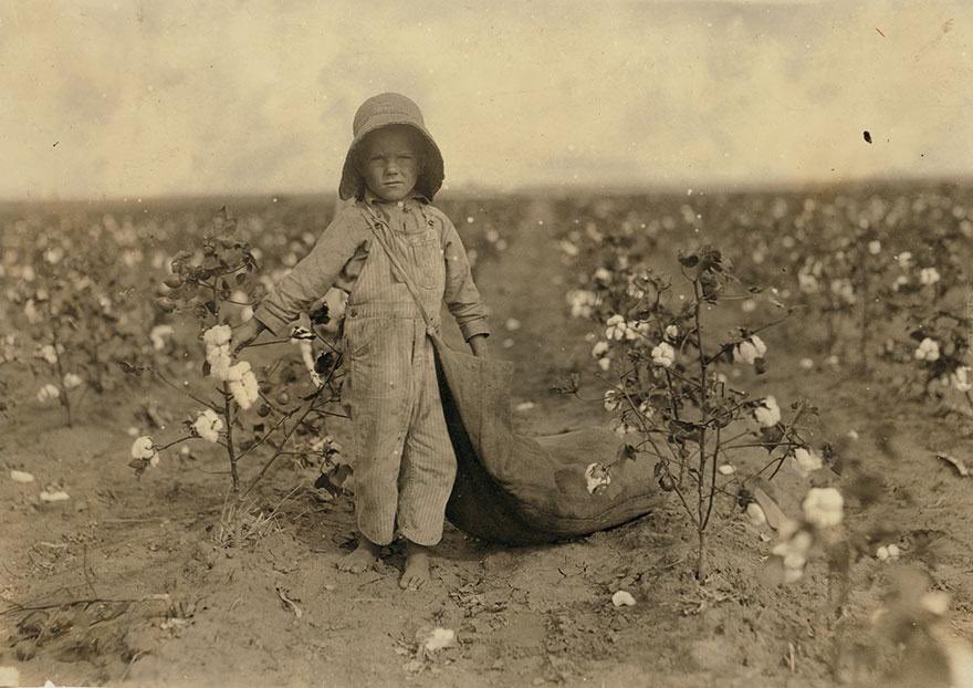 In 1916, five-year-old Harold Walker, living in Oklahoma, worked diligently in the cotton fields. Despite the scorching heat, Harold picked 20 to 25 pounds of cotton each day, displaying his determination and resilience. His small hands endured the prick of thorns as he carefully…