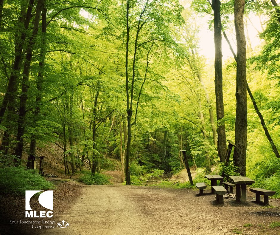 With more than 2,000 acres of mountainous wilderness, Lamar Alexander Rocky Fork State Park in Flag Pond is the perfect destination for a summer adventure. Learn more about the park in @tennesseemag: https://t.co/MmC9ZdBUoV. https://t.co/AzjOaFYDft