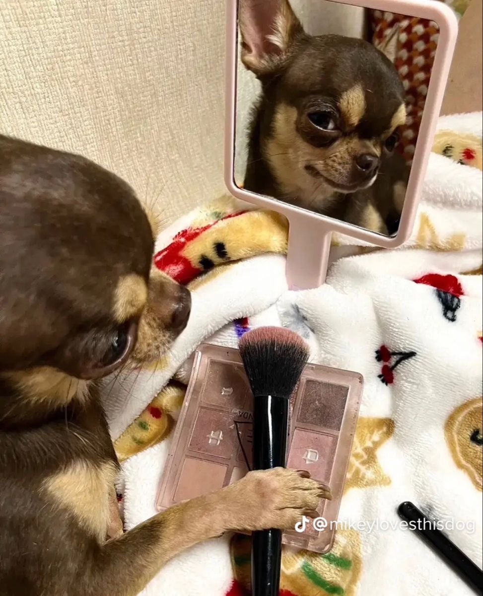 twaniimals's tweet photo. https://t.co/bJxI5x3ueZ
