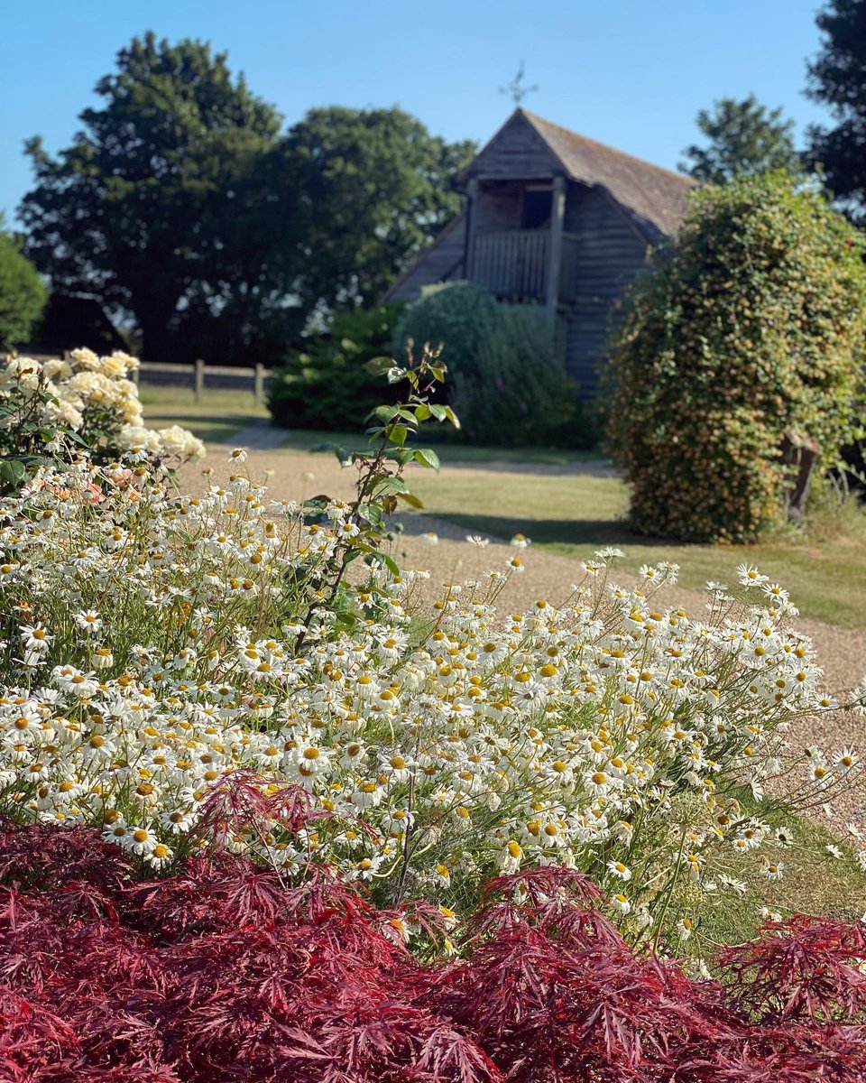 WalkinginKent's tweet photo. Beautiful open gardens in Anvil Green. 2
.
#anvilgreen #opengardens #waltham #kentdowns #kentaonb #nationalgardenscheme #visitgardens #visitkent #discoverkent #enjoykent #kentdaysout #gotokent #lovekent #kentnature #mykent #canterbury #walkinguk #kentcountryside https://t.co/MFVnWGoEv5