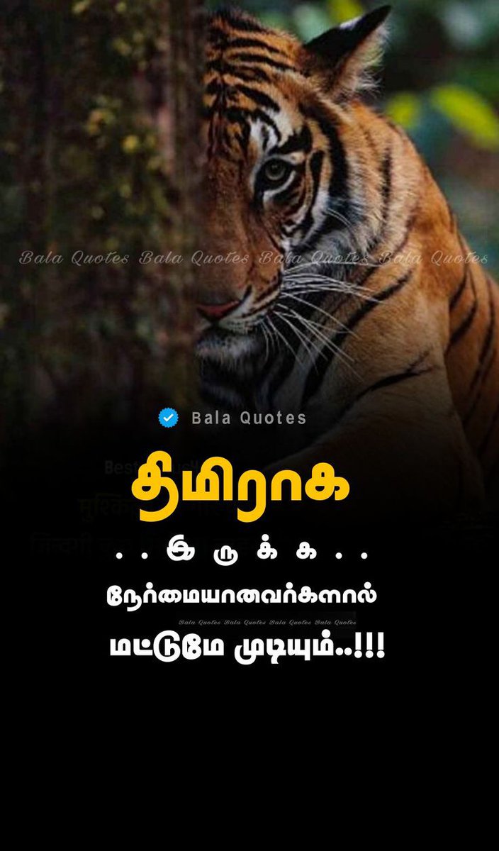 apsvelmurugan's tweet photo. https://t.co/2w0I7VDReL
