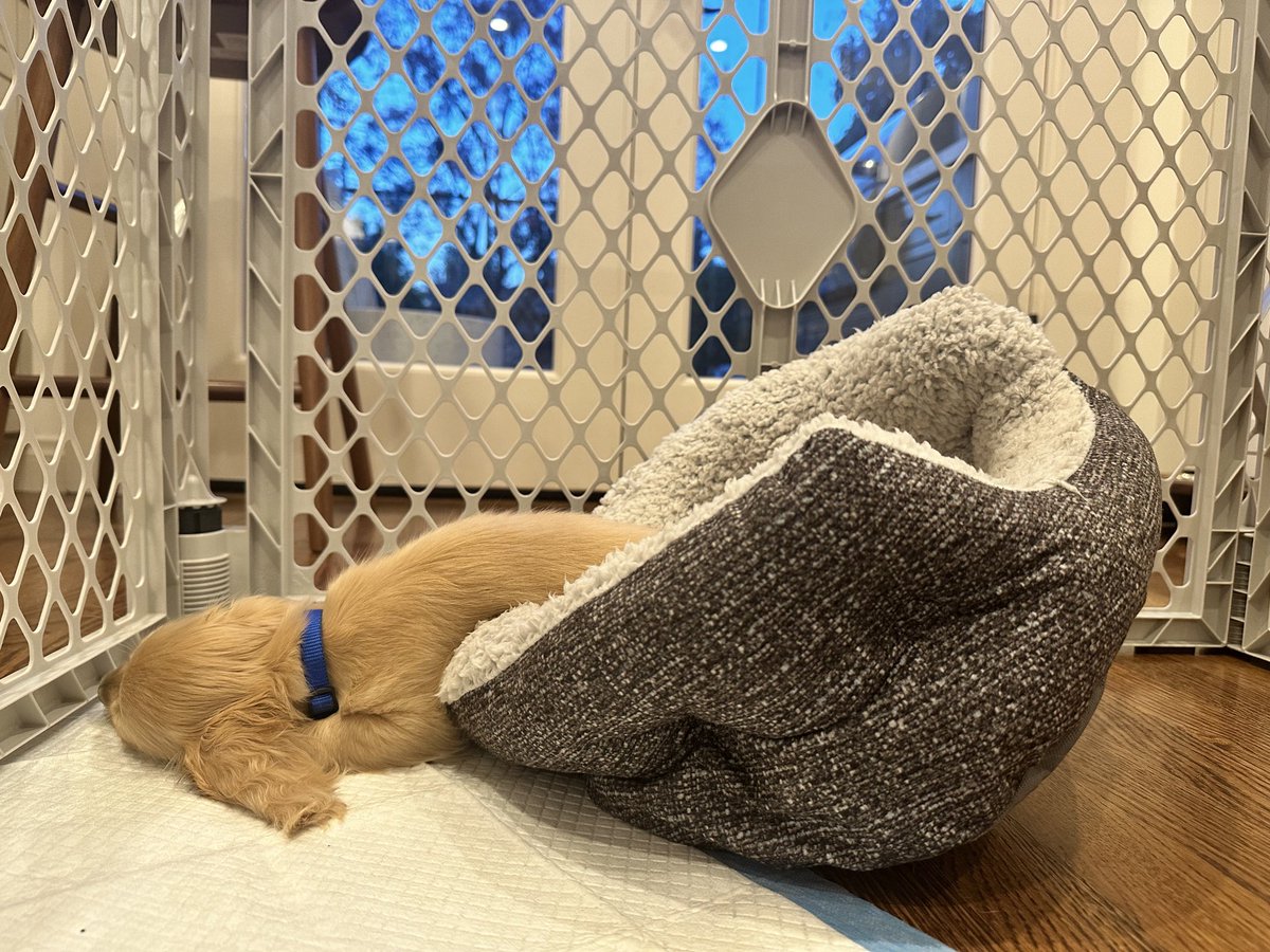 Nate Bolt tweet media