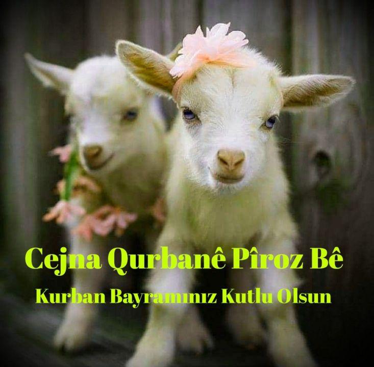 alid4747's tweet image. Cejna we qurbane pîroz be 🥩🐏🐐🐂🍗🐓🐟🍎🥤