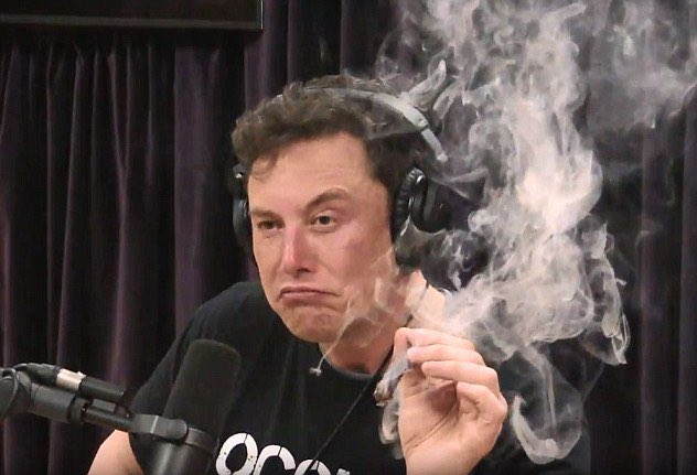 ELON MUST BE HIGH IF HE THINKS HE CAN BEAT MARK ZUCKERBERG IN A CAGE FIGHT.

$BEAST #ElonVSzuck #ElonVsZuckerberg