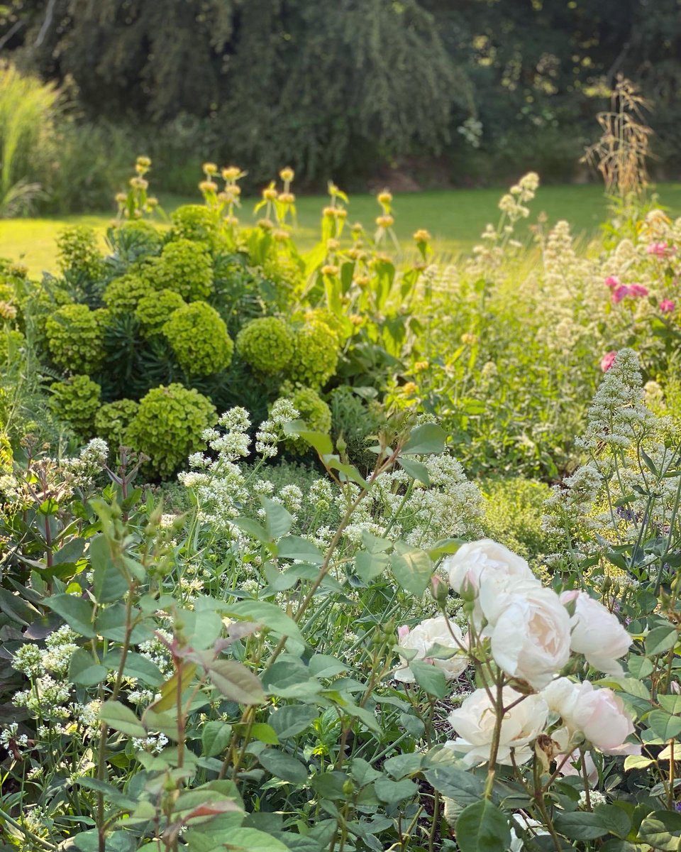 WalkinginKent's tweet photo. Gardens in Anvil Green.
.
#anvilgreen #opengardens #kentdowns #kentaonb #visitgardens #visitkent #discoverkent #enjoykent #kentdaysout #gotokent #lovekent #summertime #englishcountryside #walkinginkent #kentwildlife #kentnature #mykent #canterbury #walkinguk #kentcountryside https://t.co/EVwRRJiqIB