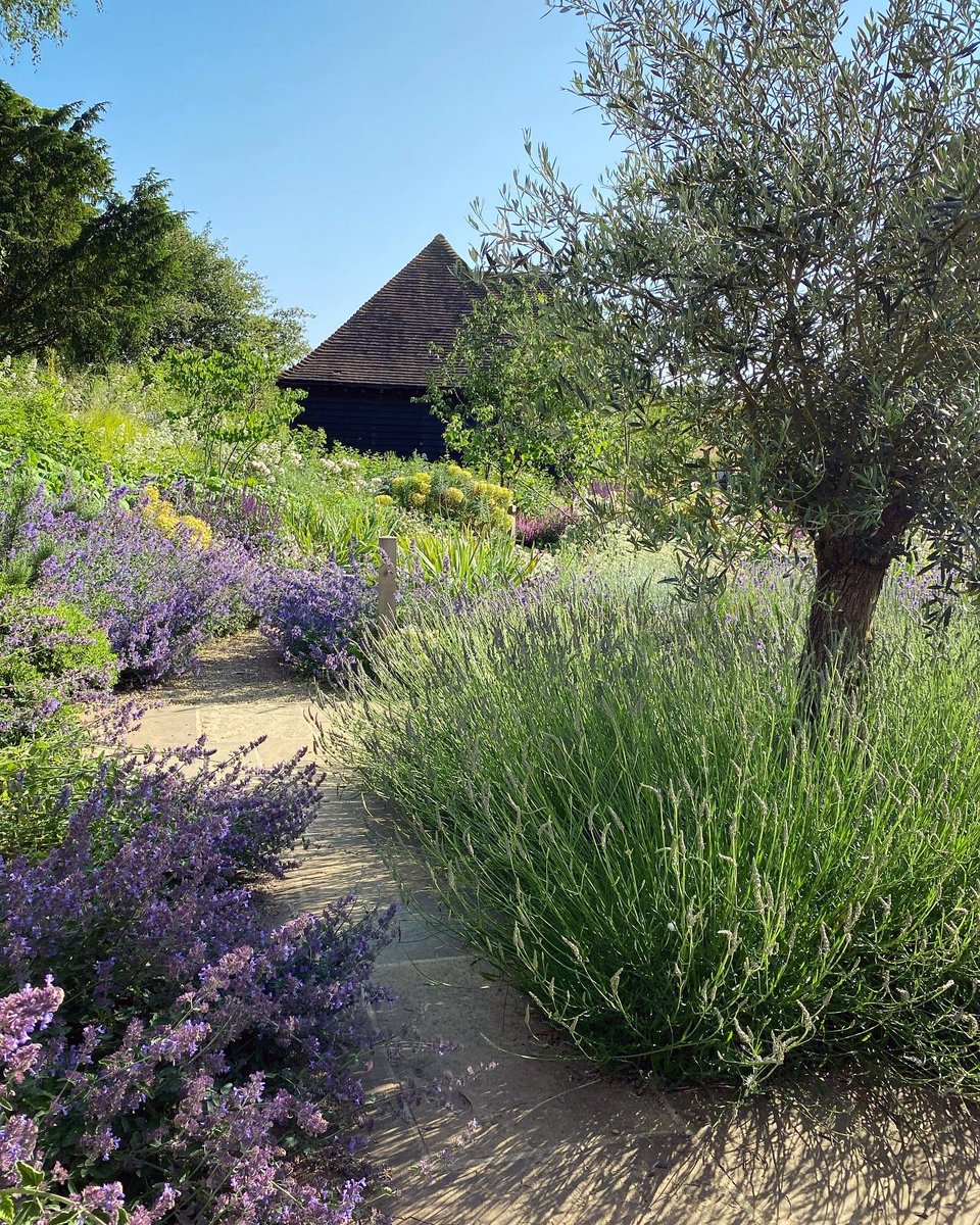 WalkinginKent's tweet photo. Gardens in Anvil Green.
.
#anvilgreen #opengardens #kentdowns #kentaonb #visitgardens #visitkent #discoverkent #enjoykent #kentdaysout #gotokent #lovekent #summertime #englishcountryside #walkinginkent #kentwildlife #kentnature #mykent #canterbury #walkinguk #kentcountryside https://t.co/EVwRRJiqIB