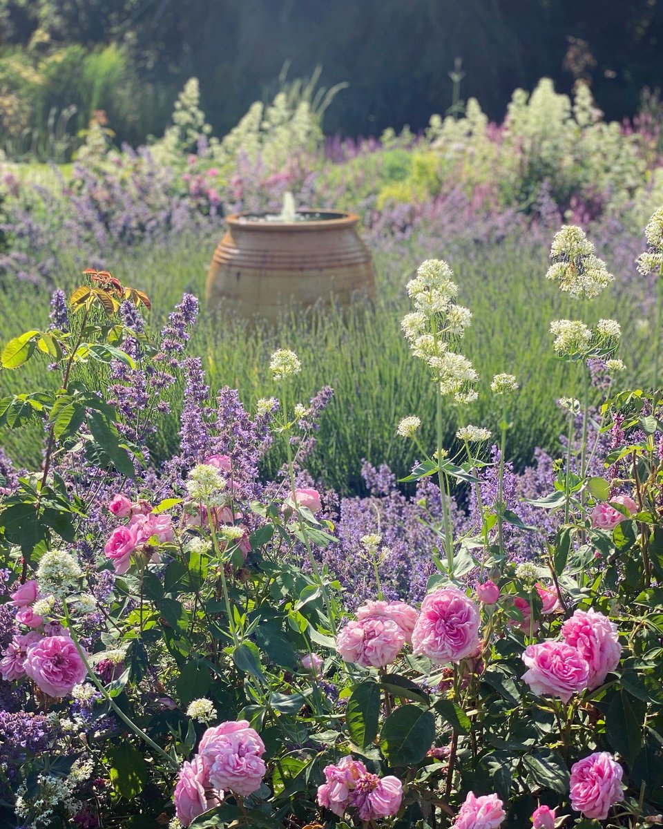 WalkinginKent's tweet photo. Garden Goals!
This beautiful garden was created only a few years ago in Anvil Green.
.
#anvilgreen #opengardens #waltham #kentdowns #kentaonb #visitgardens #visitkent #summertime #englishcountryside #walkinginkent #kentwildlife #kentnature #mykent #kentcountryside #rosegarden https://t.co/BCCbQKGVEj