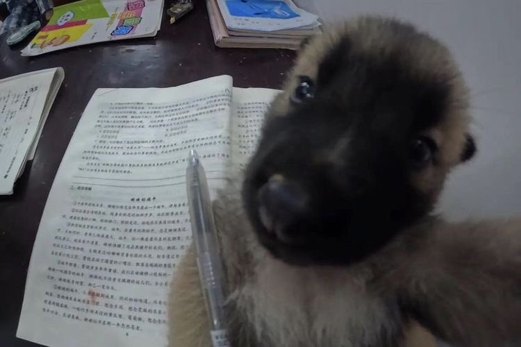 milusabia's tweet photo. perdón profe no me voy a presentar a rendir el final porque estoy muy distraída haciéndome la cabeza y no puedo estudiar https://t.co/gwNo014ni3