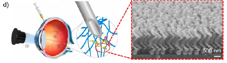 Moran Research Group tweet media