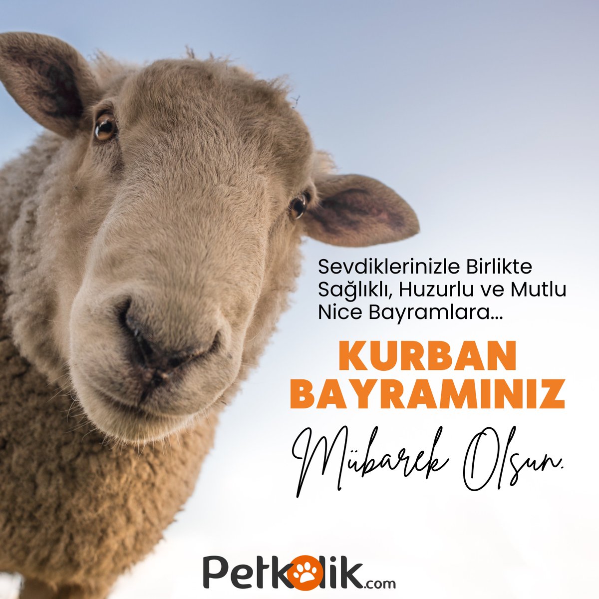 Sevdiklerinizle Birlikte Sağlıklı, Huzurlu ve Mutlu Nice Bayramlara...

#petkolik #KURBANBAYRAMI