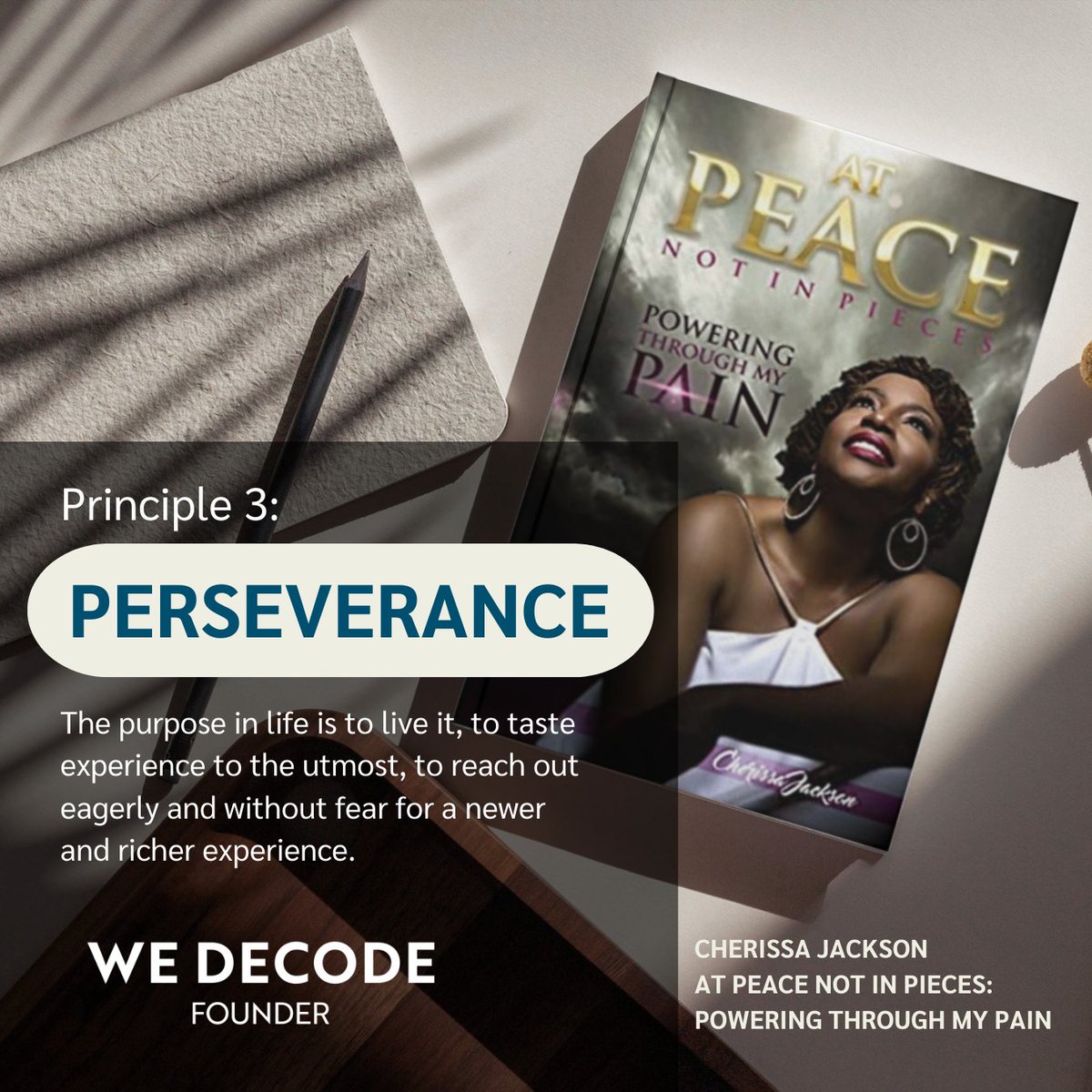 wedecode's tweet image. In honor of PTSD Awareness Day, celebrate resilience &amp;amp; courage with us! Our Founder &amp;amp; CEO Cherissa Jackson wrote a powerful book about her journey with PTSD - At Peace Not In Pieces. Embrace the 7 Principles of Hope &amp;amp; find strength in adversity. 📚 #WeDecode #PTSDAwareness ✊🏽❤️🌱
