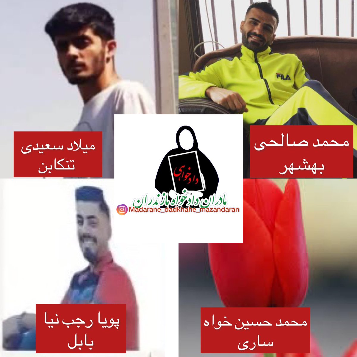 Madarane_d_m's tweet photo. چند تن از شهدای مظلوم قیام اخیر از مازندران که اطلاعات زیادی ازشون در دسترس نیست🥺
#پویا_رجب_نیا #محمد_حسین_خواه #محمد_صالحی #میلاد_سعیدی 
#مهسا_امینی #مادران_دادخواه_مازندران #مازندران #ساری #بابل #بهشهر #شهسوار #تنکابن #انقلاب۱۴۰۱ https://t.co/0rDqyNhQgW