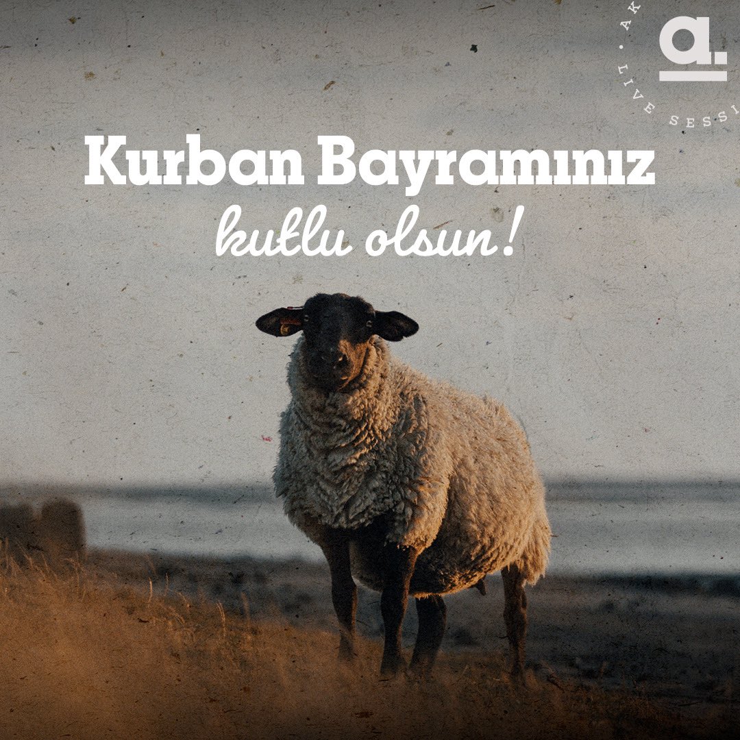 Herkese iyi bayramlar dileriz.🙏

#akustikhane #iyibayramlar