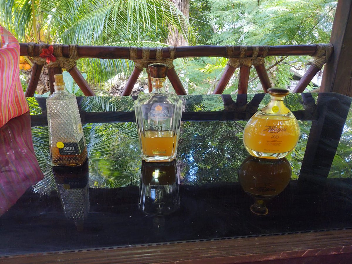 @Conahcyt_Mex <a href="/UIMQRoo/">UIMQROO</a> Su producción también en el sur del Estado, con estas acciones se fortalece a la ruta de la Miel que ya es parte del patrimonio cultural para un nuevo segmento de #TurismoSustentable interesado en la producción y beneficios de los productos de la  #AvejaMelipona <a href="/omaralpuche/">omar alpuche leal</a>