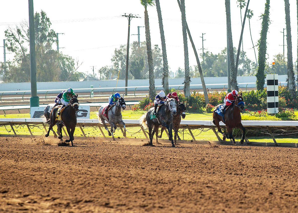 sadlerracing's tweet image. AND HE DID IT AGAIN! Kings River Night won his 2nd stake in a row #wiretowire #sadlerstyle and brought home the 🥇 in the Bertrando Stakes @santaanitapark 
Congratulations to his owners and a huge thank you to our rockstar team.  @johnwsadler @JuanLeyva1984  @NathalieDarley